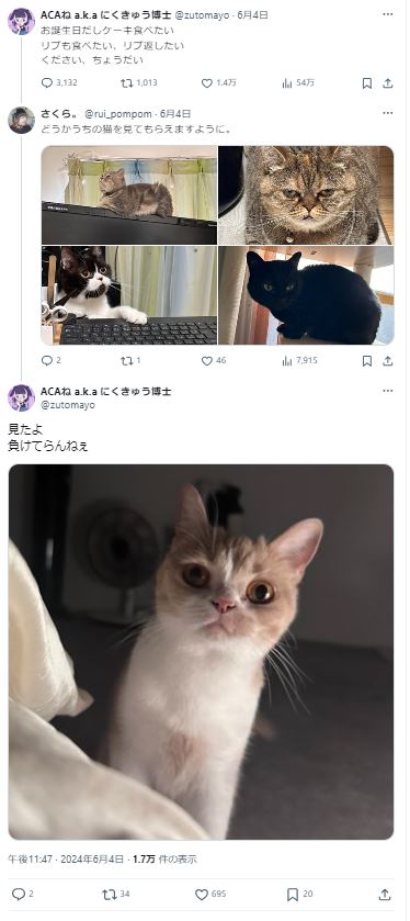ずっと真夜中でいいのに　猫　その2